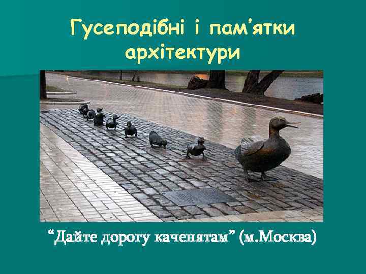 Гусеподібні і пам’ятки архітектури “Дайте дорогу каченятам” (м. Москва) 