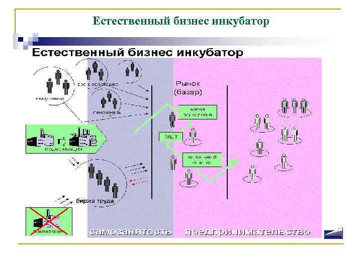 Естественный бизнес инкубатор 