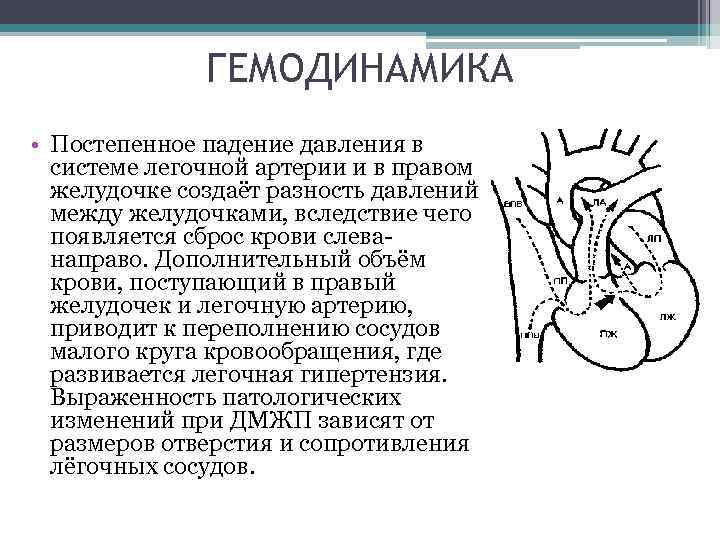 ГЕМОДИНАМИКА • Постепенное падение давления в системе легочной артерии и в правом желудочке создаёт