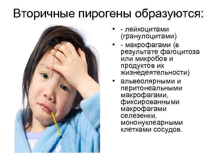 Вторичные пирогены образуются: • - лейкоцитами (гранулоцитами) • - макрофагами (в результате фагоцитоза или