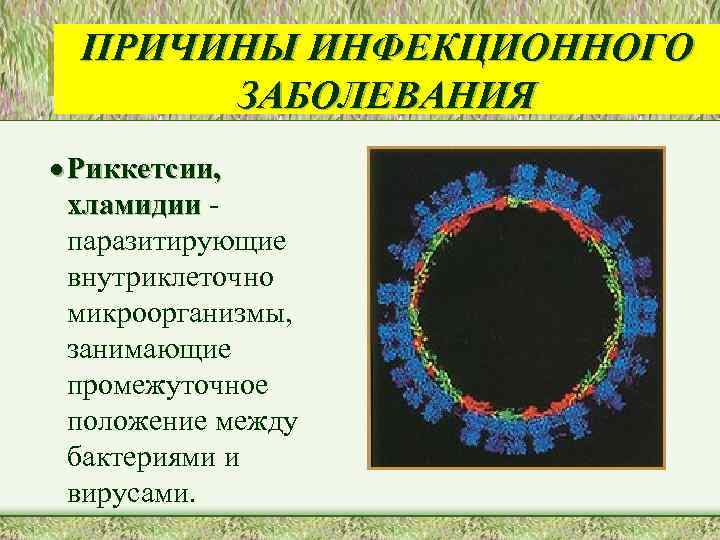 ПРИЧИНЫ ИНФЕКЦИОННОГО ЗАБОЛЕВАНИЯ · Риккетсии, хламидии паразитирующие внутриклеточно микроорганизмы, занимающие промежуточное положение между бактериями