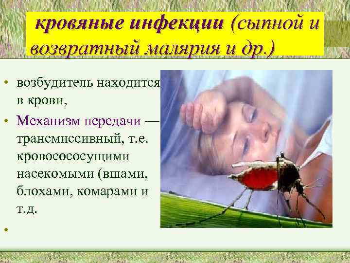 кровяные инфекции (сыпной и возвратный малярия и др. ) • возбудитель находится в крови,