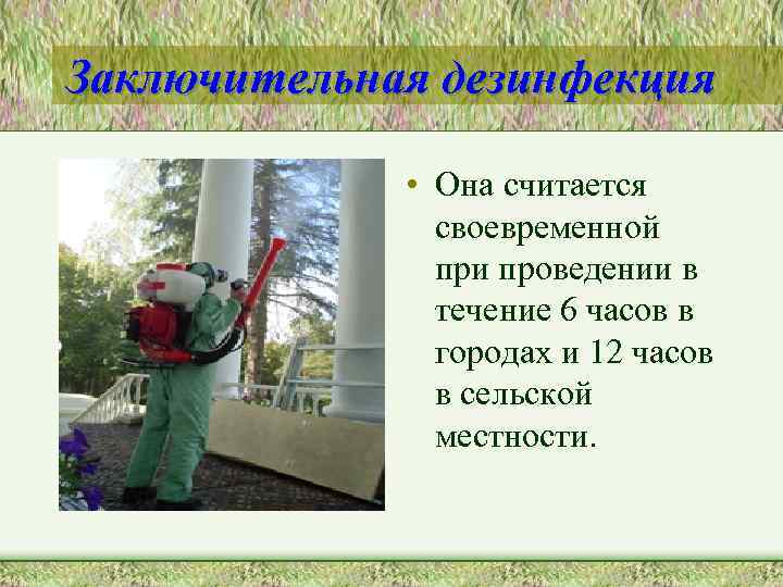 Заключительная дезинфекция • Она считается своевременной при проведении в течение 6 часов в городах