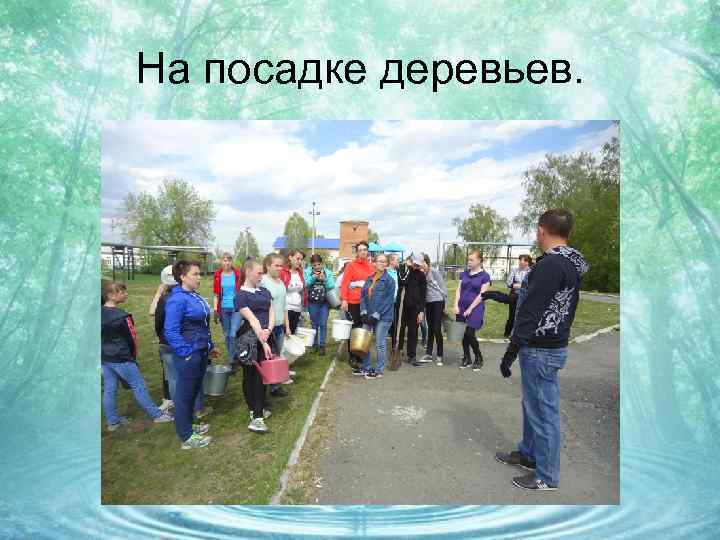 На посадке деревьев. 
