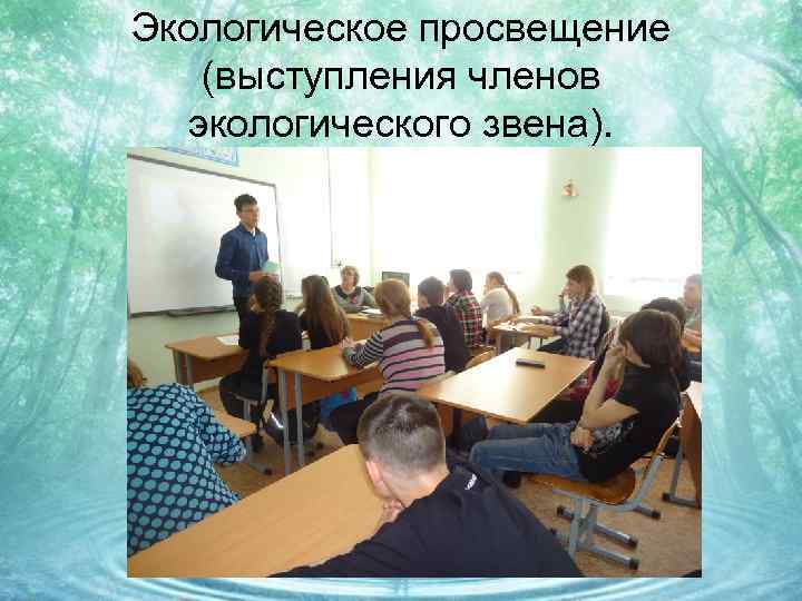 Экологическое просвещение (выступления членов экологического звена). 