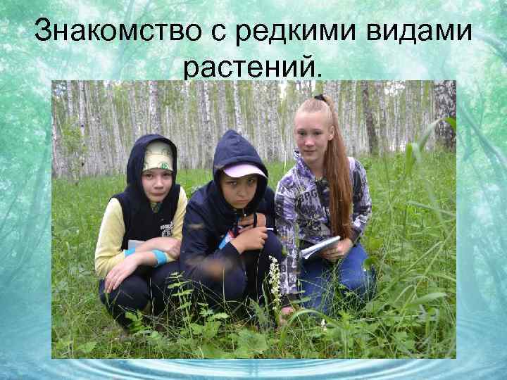 Знакомство с редкими видами растений. 
