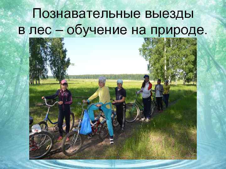 Познавательные выезды в лес – обучение на природе. 