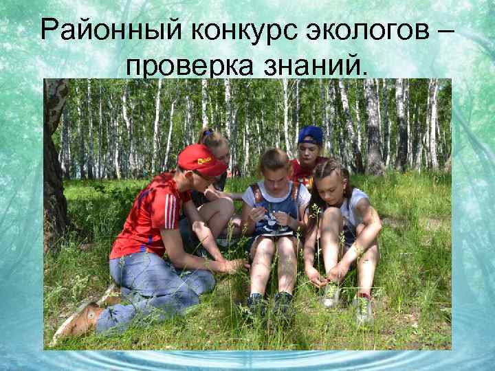 Районный конкурс экологов – проверка знаний. 