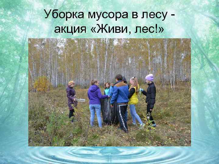 Уборка мусора в лесу акция «Живи, лес!» 