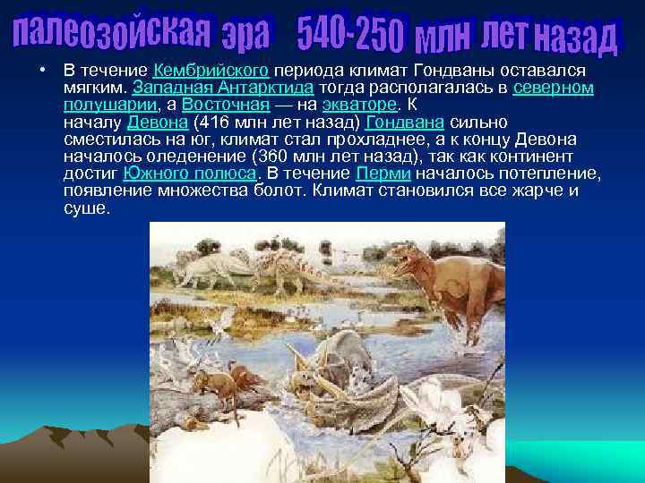  • В течение Кембрийского периода климат Гондваны оставался мягким. Западная Антарктида тогда располагалась