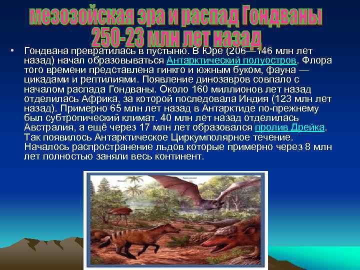  • Гондвана превратилась в пустыню. В Юре (206— 146 млн лет назад) начал