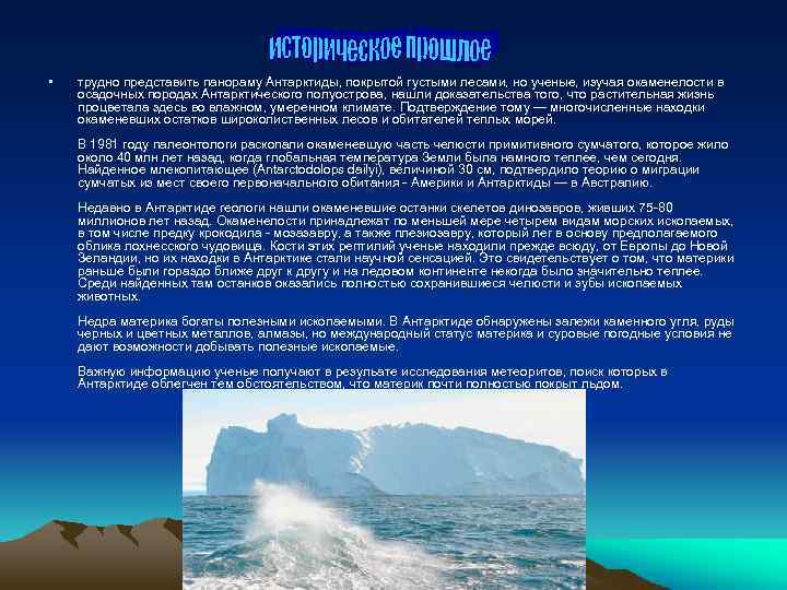  • трудно представить панораму Антарктиды, покрытой густыми лесами, но ученые, изучая окаменелости в