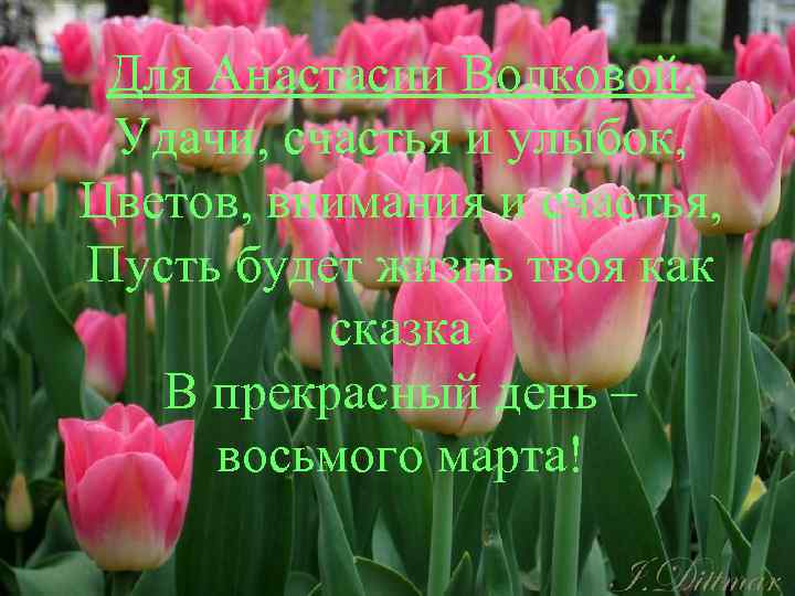 Для Анастасии Волковой. Удачи, счастья и улыбок, Цветов, внимания и счастья, Пусть будет жизнь