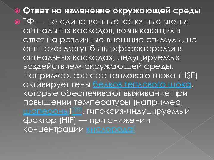 Ответ на изменение окружающей среды ТФ — не единственные конечные звенья сигнальных каскадов, возникающих