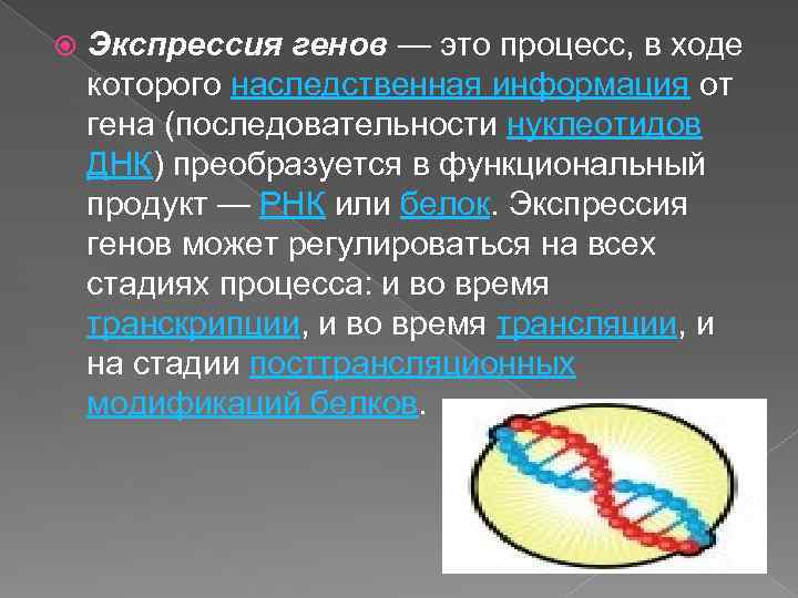  Экспрессия генов — это процесс, в ходе которого наследственная информация от гена (последовательности