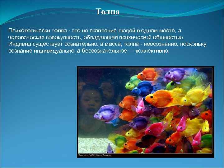 Толпа Психологически толпа - это не скопление людей в одном месте, а человеческая совокупность,