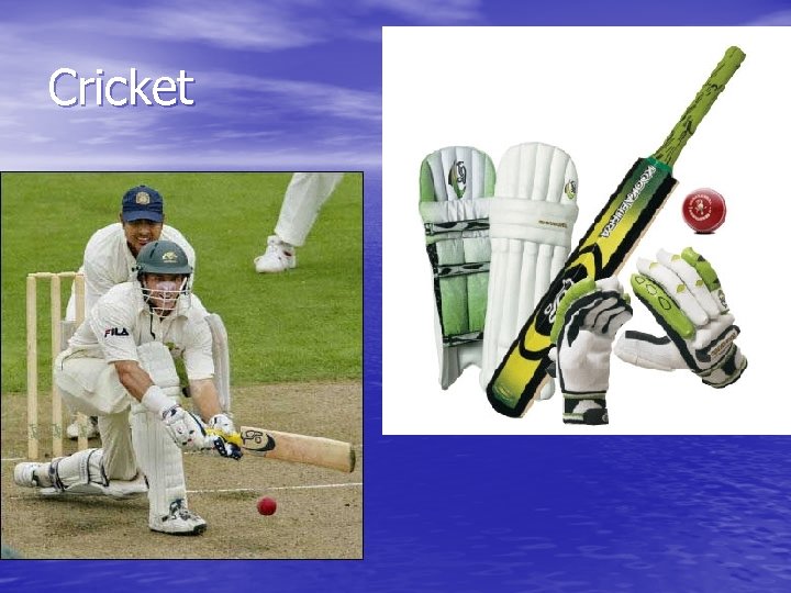 Cricket 
