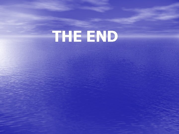 THE END 