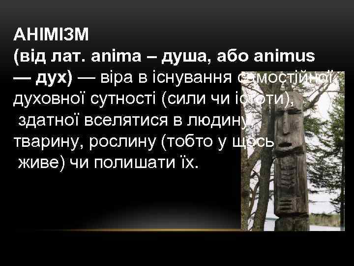 АНІМІЗМ (від лат. anima – душа, або animus — дух) — віра в існування