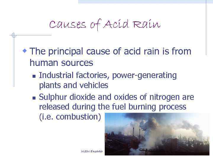 Causes of Acid Rain w The principal cause of acid rain is from human