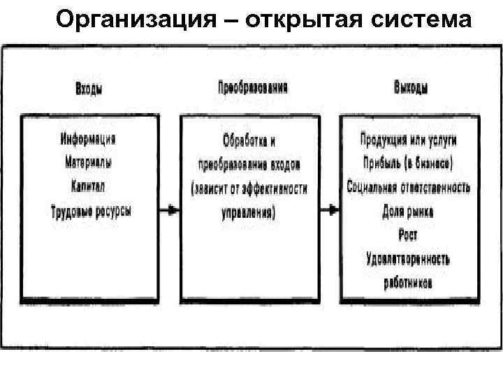 Организация – открытая система 