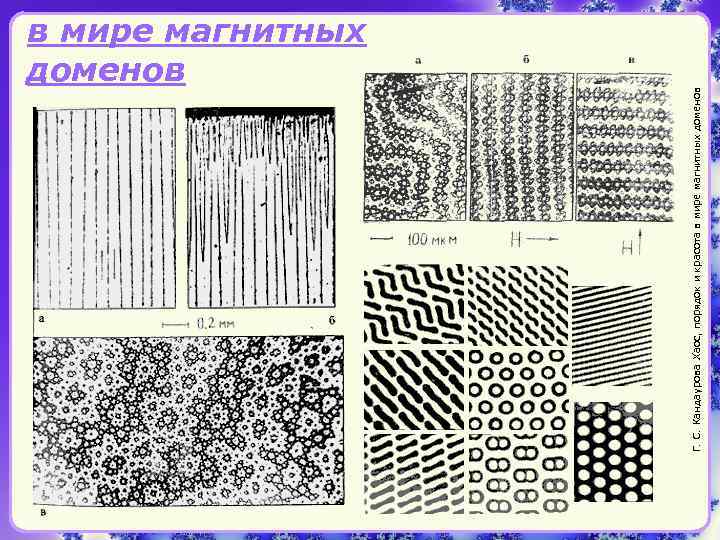 Г. С. Кандаурова Хаос, порядок и красота в мире магнитных доменов 