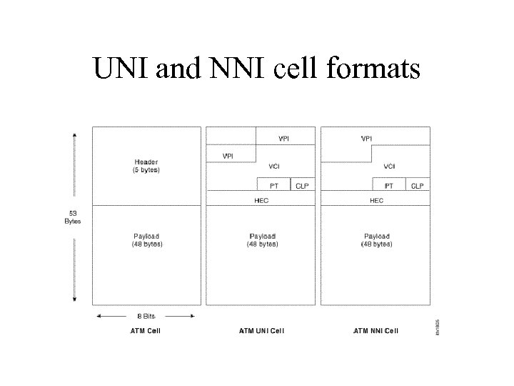 UNI and NNI cell formats 