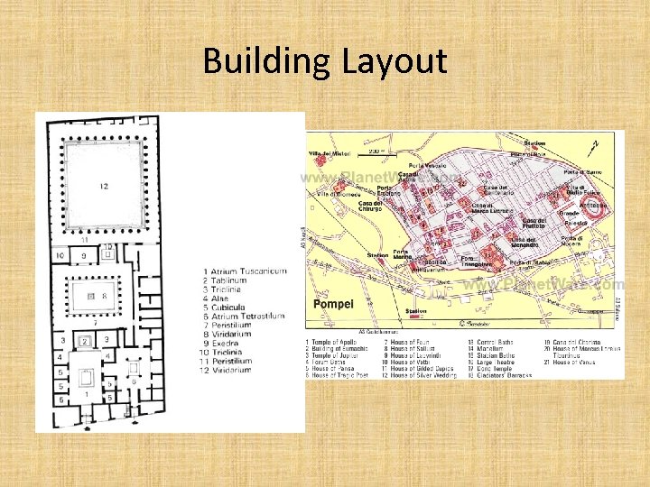 Building Layout 