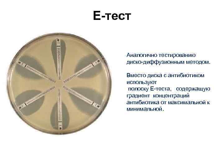 Е-тест Аналогично тестированию диско-диффузионным методом. Вместо диска с антибиотиком используют полоску Е-теста, содержащую градиент