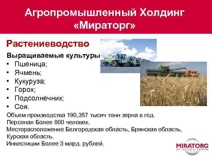 Агропромышленный Холдинг «Мираторг» Растениеводство Выращиваемые культуры • Пшеница; • Ячмень; • Кукуруза; • Горох;