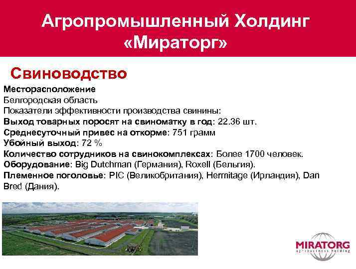 Агропромышленный Холдинг «Мираторг» Свиноводство Месторасположение Белгородская область Показатели эффективности производства свинины: Выход товарных поросят