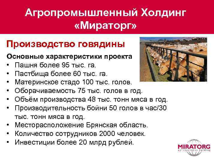 Агропромышленный Холдинг «Мираторг» Производство говядины Основные характеристики проекта • Пашня более 95 тыс. га.