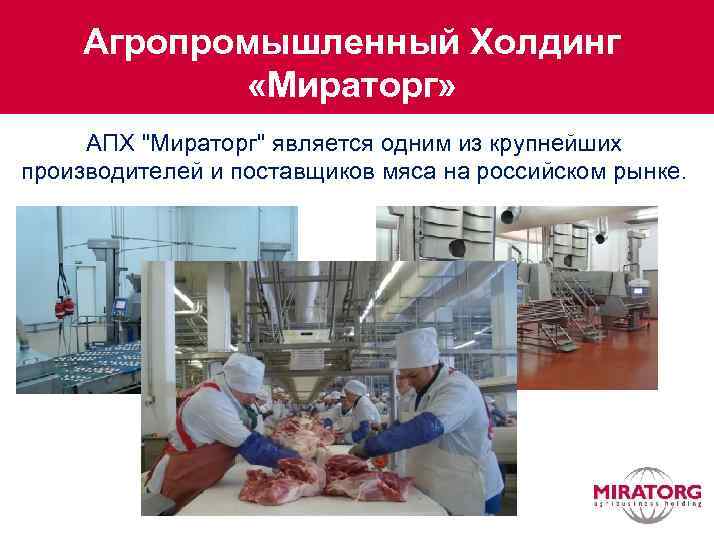 Агропромышленный Холдинг «Мираторг» АПХ "Мираторг" является одним из крупнейших производителей и поставщиков мяса на