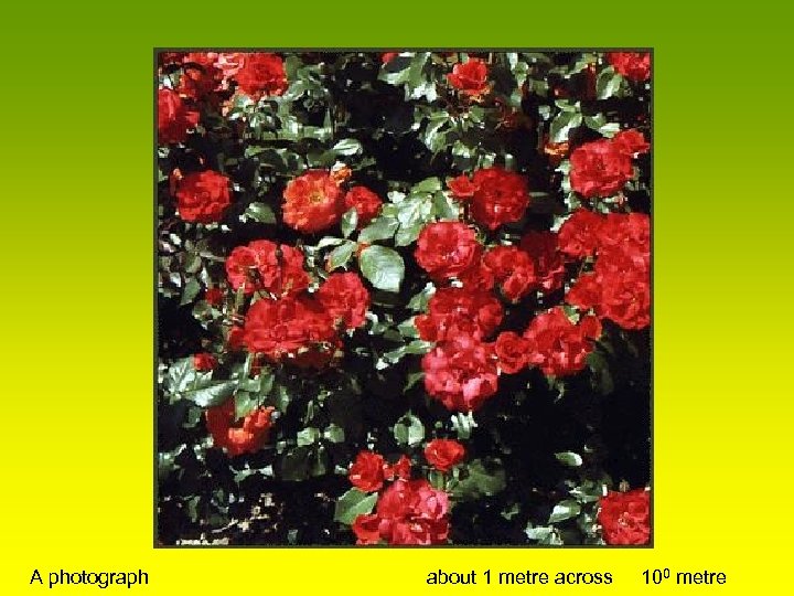 A photograph about 1 metre across 100 metre 