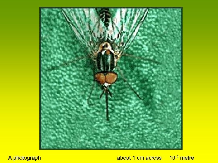 A photograph about 1 cm across 10 -2 metre 