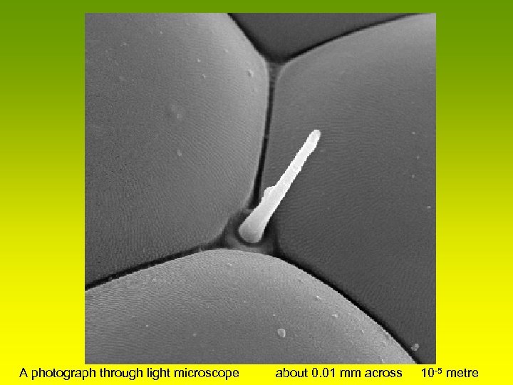 A photograph through light microscope about 0. 01 mm across 10 -5 metre 