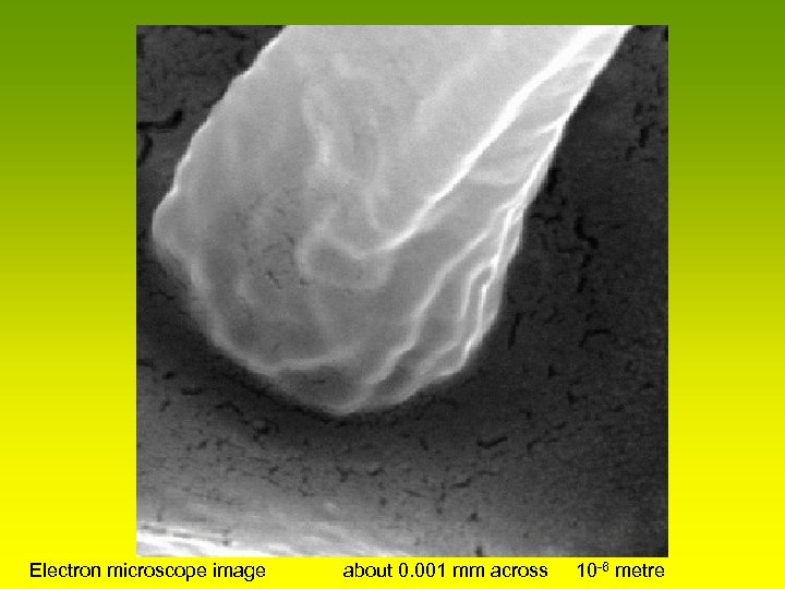 Electron microscope image about 0. 001 mm across 10 -6 metre 