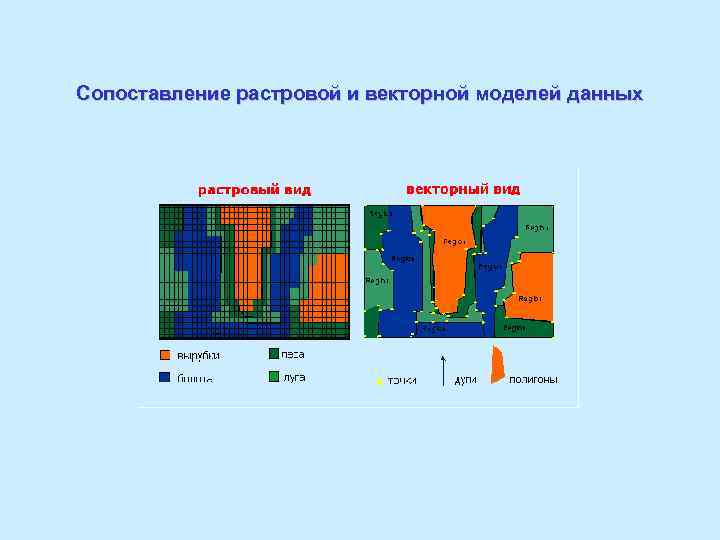 Сопоставление растровой и векторной моделей данных 