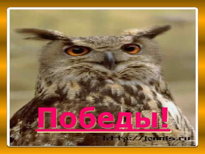 Победы! 