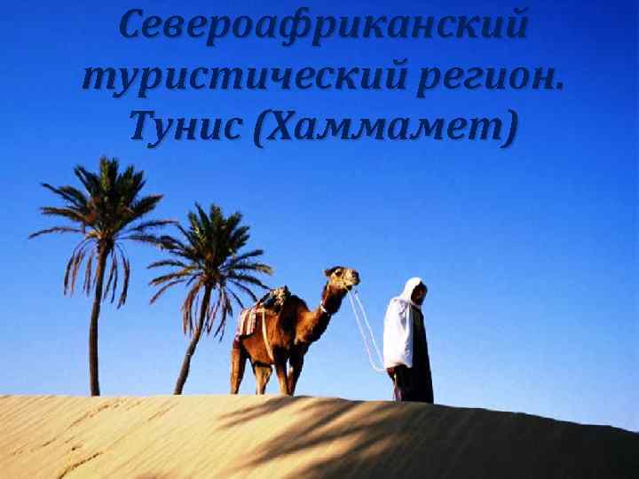 Североафриканский туристический регион. Тунис (Хаммамет) 