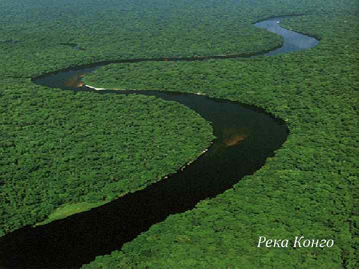 Река Конго 