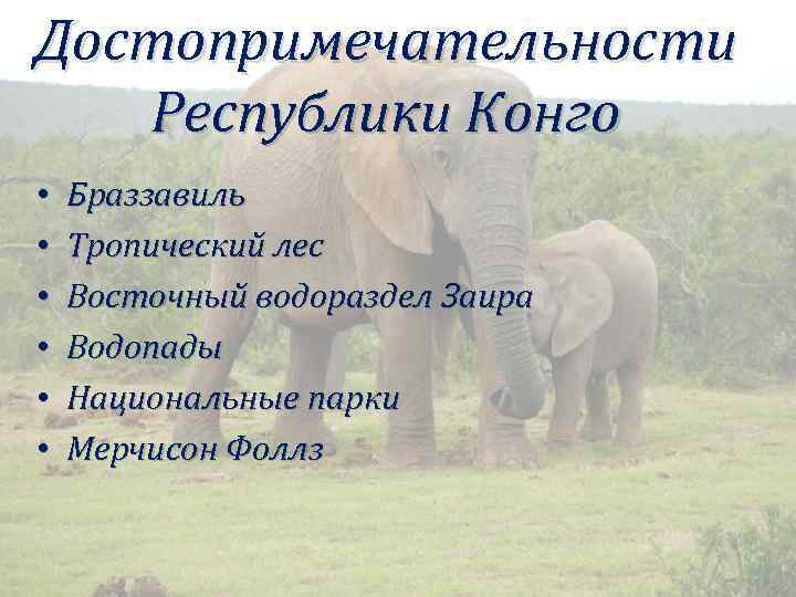 Достопримечательности Республики Конго • • • Браззавиль Тропический лес Восточный водораздел Заира Водопады Национальные