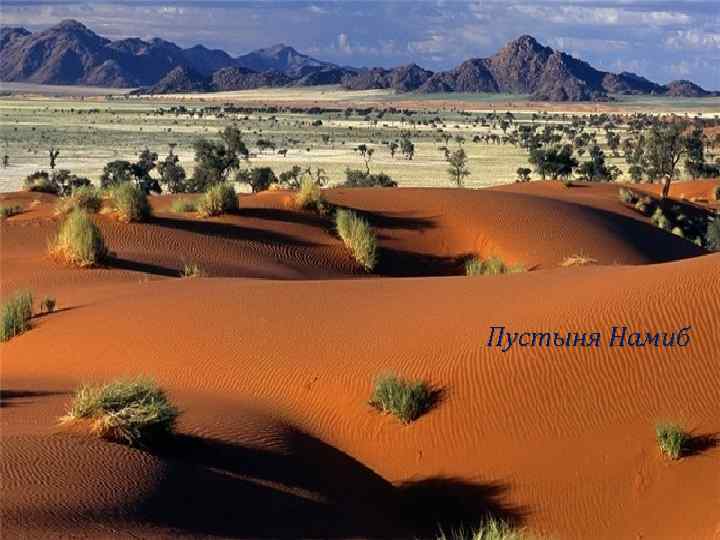 Пустыня Намиб 