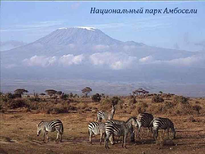 Национальный парк Амбосели 