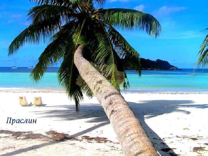 Праслин 