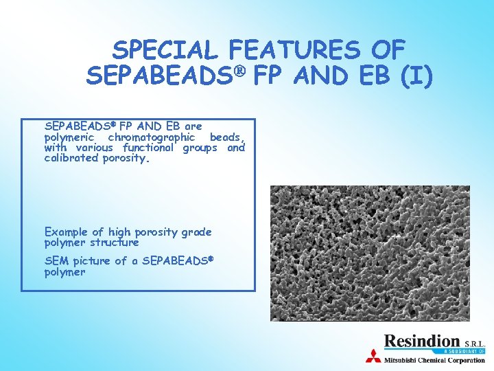 SPECIAL FEATURES OF SEPABEADS FP AND EB (I) SEPABEADS FP AND EB are polymeric