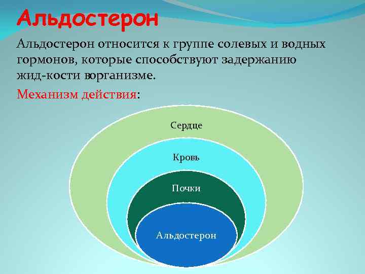 Альдостерон относится к группе солевых и водных гормонов, которые способствуют задержанию жид кости в