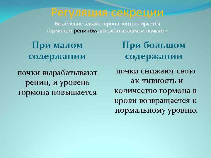 Регуляция секреции Выделение альдостерона контролируется гормоном ренином, вырабатываемым почками При малом содержании почки вырабатывают