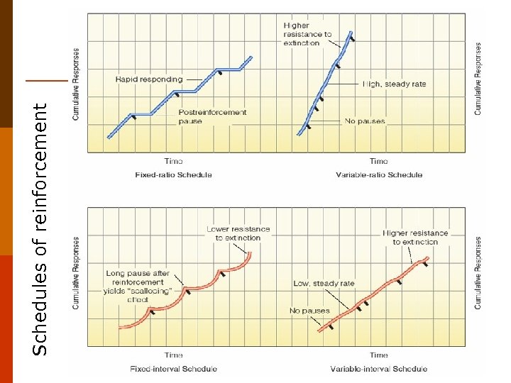 Schedules of reinforcement 