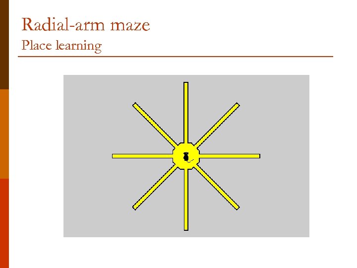 Radial-arm maze Place learning 